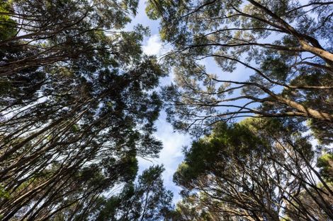 Photo of property in 22d Paihia Road, Paihia, 0200