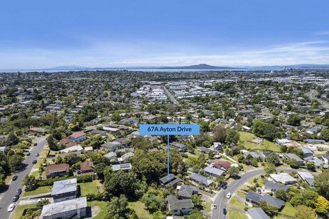 Photo of property in 67a Ayton Drive, Totara Vale, Auckland, 0629