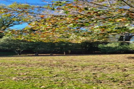 Photo of property in 108c Butcher Road, Matangi, Hamilton, 3284