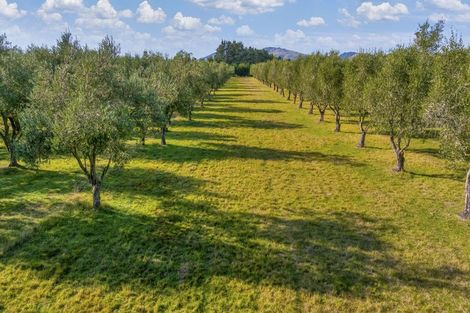 Photo of property in 327 Georges Road, Glasnevin, Amberley, 7482