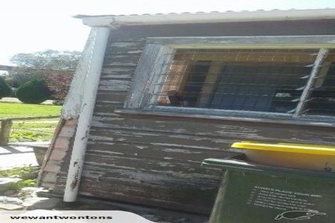 Photo of property in 133 Roxburgh Street, Heriot, Tapanui, 9587