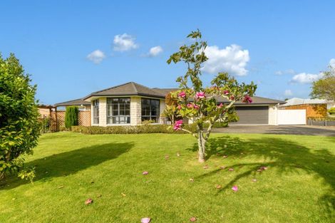Photo of property in 1 Ashmore Court, Bethlehem, Tauranga, 3110