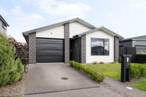 Photo of property in 17 Trewern Avenue, Chartwell, Hamilton, 3210
