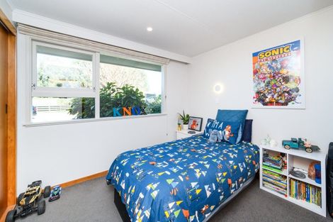 Photo of property in 36 Arnott Street, Feilding, 4702