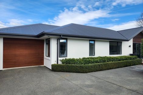 Photo of property in 161 Petrie Street, Richmond, Christchurch, 8013