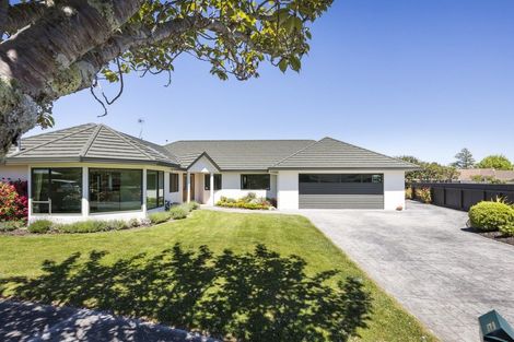 Photo of property in 16 Tudor Grove, Feilding, 4702