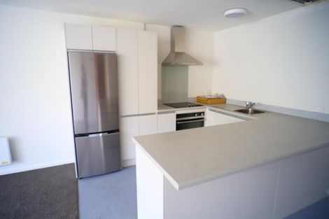 Photo of property in Te Awhina Apartments, 22u9 Sussex Street, Mount Cook, Wellington, 6021