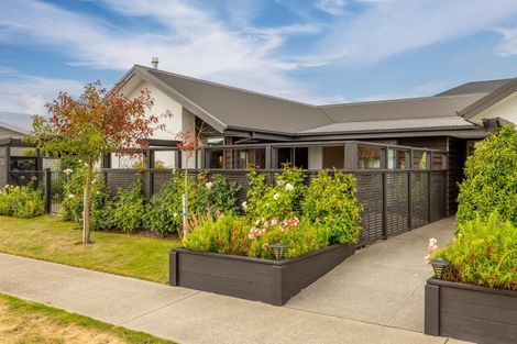 Photo of property in 10 Chimera Street, Pegasus, 7612