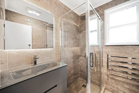 Photo of property in 60 Alfred Street, Fairfield, Hamilton, 3214