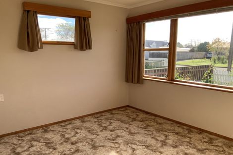 Photo of property in 53 Graham Street, Levin, 5510