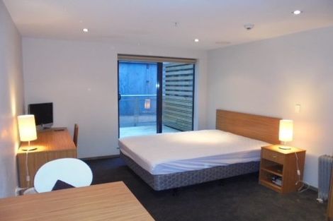 Photo of property in Dual Apartments, 108/142u Vivian Street, Te Aro, Wellington, 6011