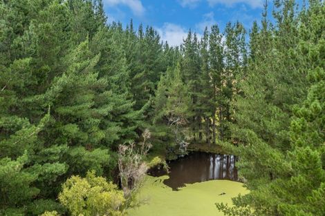 Photo of property in 2/44 Mangatarata Road, Waipukurau, 4285