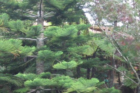 Photo of property in 40 Daffodil Street, Titirangi, Auckland, 0604