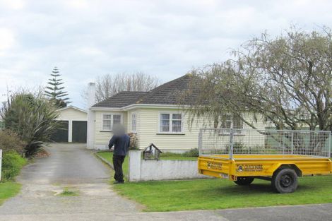 Photo of property in 29 Edinburgh Street, Levin, 5510