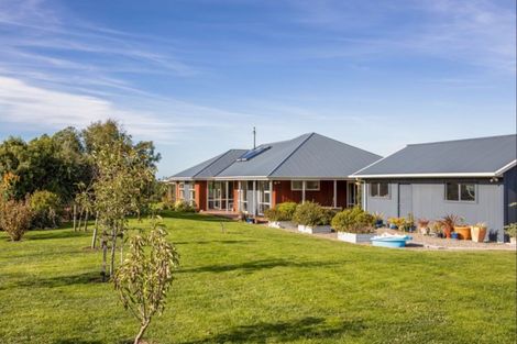 Photo of property in 273p Maskells Road, Balcairn, Amberley, 7481