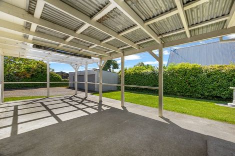 Photo of property in 6a Brewer Street, Blenheim, 7201