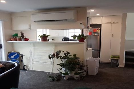 Photo of property in 97 Tasman Street, Mount Cook, Wellington, 6021