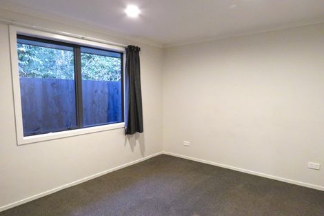 Photo of property in 21u4 Fifth Avenue, Enderley, Hamilton, 3214