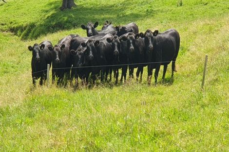 Photo of property in 521b Kauaeranga Valley Road, Thames, 3577