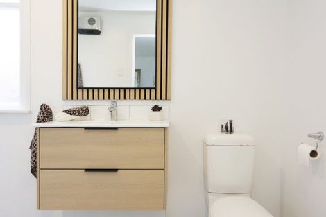 Photo of property in 50 Albert Street, Saint Clair, Dunedin, 9012