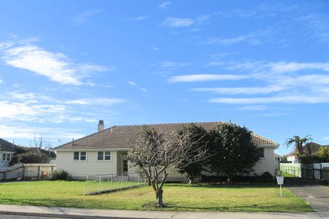 Photo of property in 1004 Beatty Street, Mayfair, Hastings, 4122