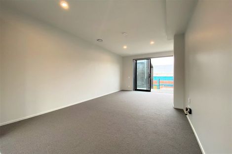 Photo of property in Aniva Terrace, 32 Ferguson Street, Newtown, Wellington, 6021