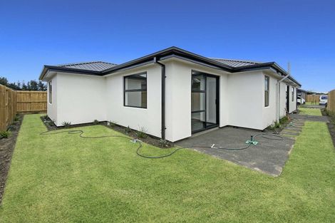 Photo of property in 4 Sedge Street, Belfast, Christchurch, 8051