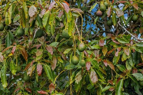 Photo of property in 48 Lord Cobham Avenue, Whakatane, 3120