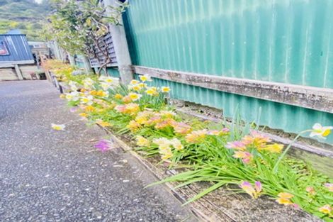 Photo of property in 280 Thames Coast Sh25 Road, Ngarimu Bay, Thames, 3575