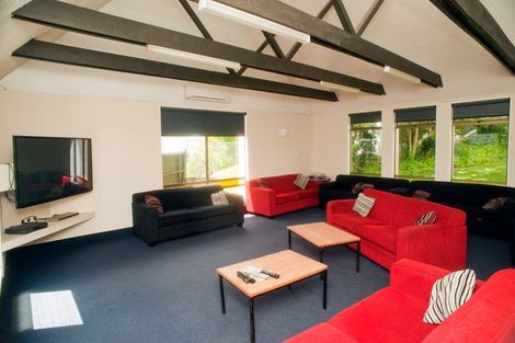 Photo of property in 181 Collingwood Street, Hamilton Lake, Hamilton, 3204