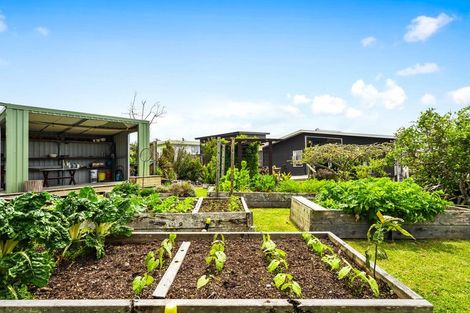 Photo of property in 8 Alexander Road, Algies Bay, Warkworth, 0920