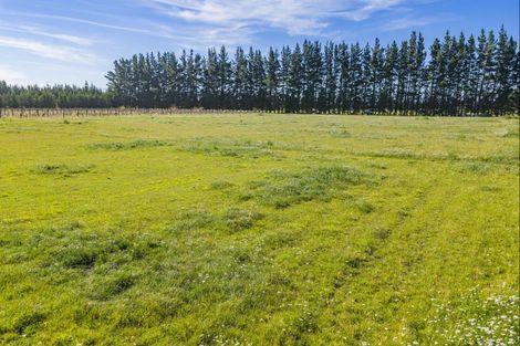 Photo of property in 1490 Tram Road, Swannanoa, Rangiora, 7475