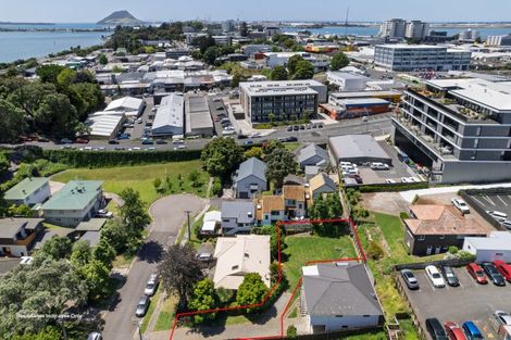 Photo of property in 6b Sheath Street, Tauranga, 3110
