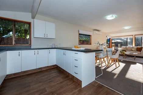 Photo of property in 61 Torrens Road, Hillmorton, Christchurch, 8024