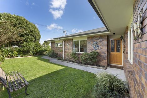 Photo of property in 38 Duke Street, Levin, 5510