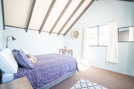 Photo of property in 66c Limbrick Street, Terrace End, Palmerston North, 4410