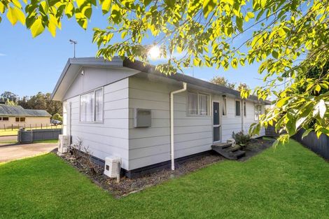 Photo of property in 21 Lucknow Street, Aramoho, Whanganui, 4500
