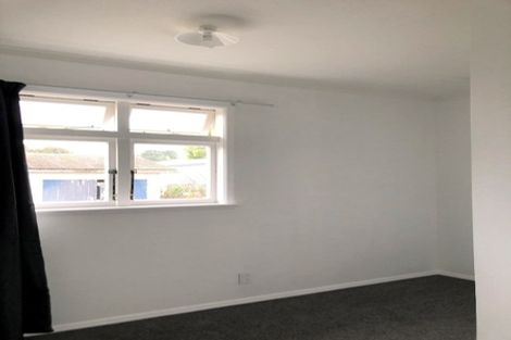 Photo of property in 18 Dudley Street, Levin, 5510