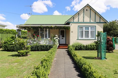 Photo of property in 61 Cornwall Street, Masterton, 5810