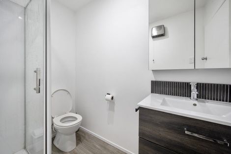 Photo of property in 4 Moa Street, Alexandra, 9320