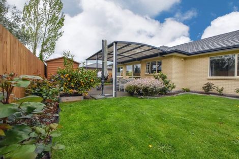 Photo of property in 3a Madison Street, Carterton, 5713