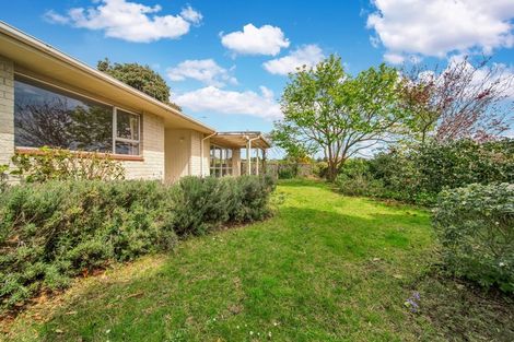 Photo of property in 43a Cumberland Street, Merrilands, New Plymouth, 4312