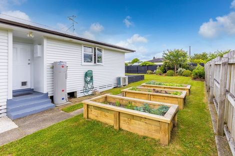 Photo of property in 31 Halberg Crescent, Chartwell, Hamilton, 3210