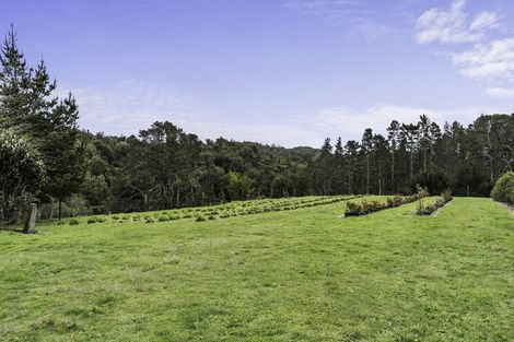 Photo of property in 9e Mcquade Road, Whakamarama, Tauranga, 3179