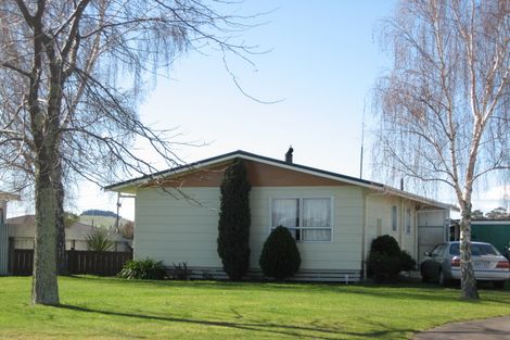 Photo of property in 9 Porritt Place, Waipukurau, 4200