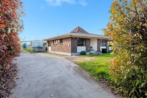 Photo of property in 11r Carmichael Road, Bethlehem, Tauranga, 3110