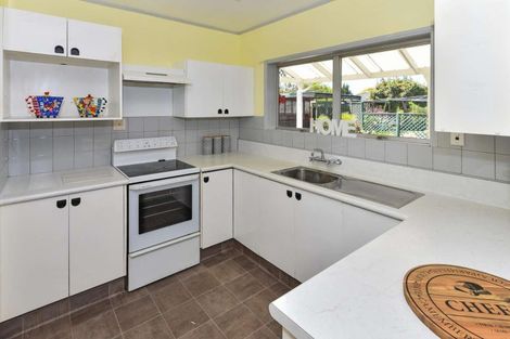 Photo of property in 20 Sunnypark Avenue, Rosehill, Papakura, 2113