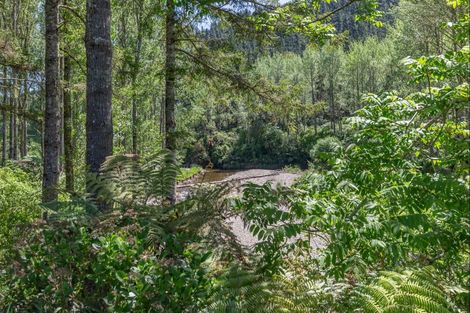 Photo of property in 803 Gladstone Road, Levin, 5571