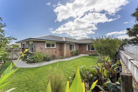 Photo of property in 38 Duke Street, Levin, 5510