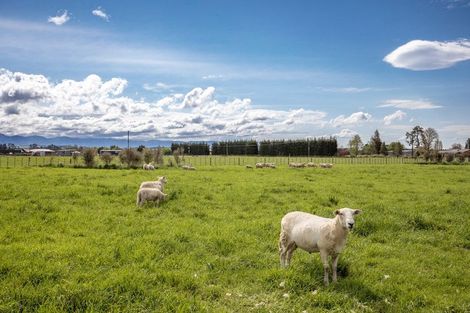 Photo of property in 162 Taylor Road, Ongaonga, 4278